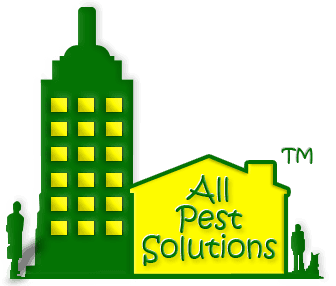 All Pest Solutions