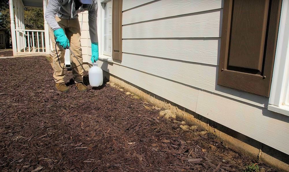 Termite treatment process