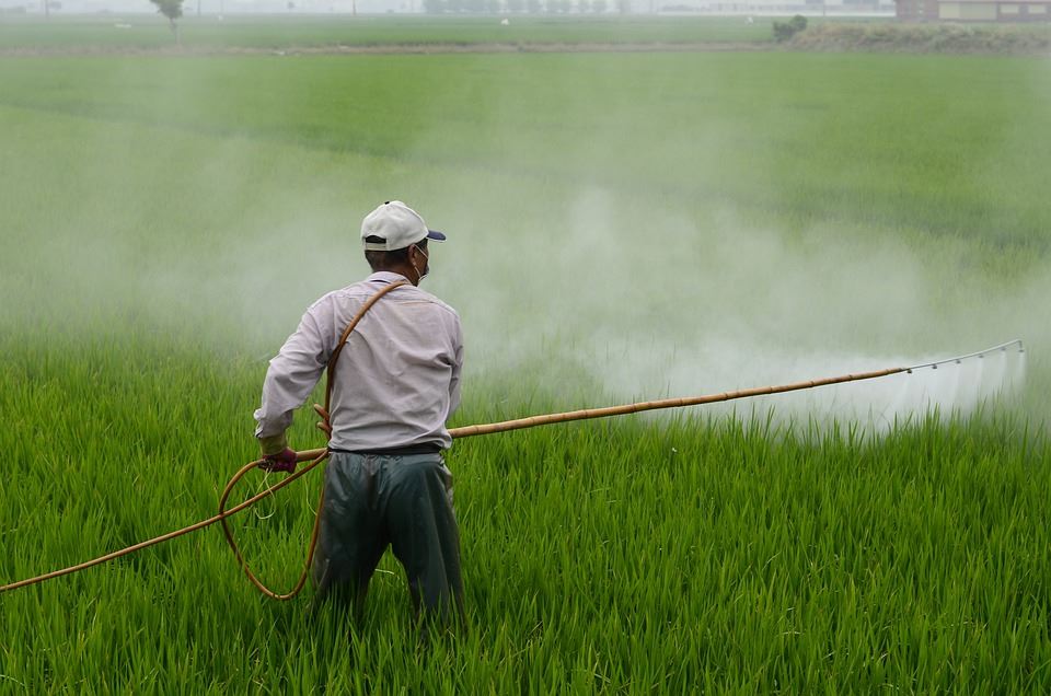 A worker spraying chemical pesticides