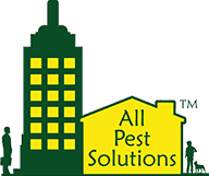 All Pest Solutions