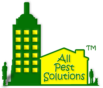 All Pest Solutions Logo